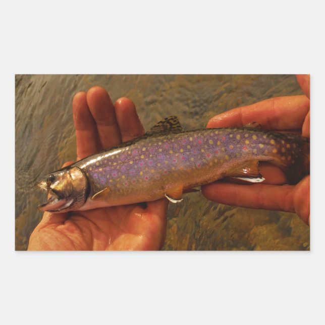 Trout in Hands Rectangular Sticker (Front)