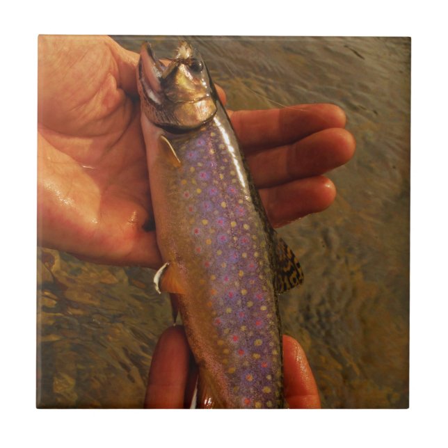 Trout in Hands Tile (Front)