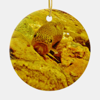 Trout in stream ceramic tree decoration