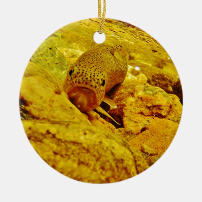 Trout in stream ceramic tree decoration (Front)