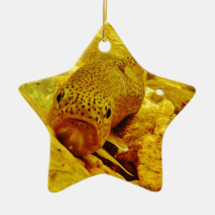 Trout in stream ceramic tree decoration