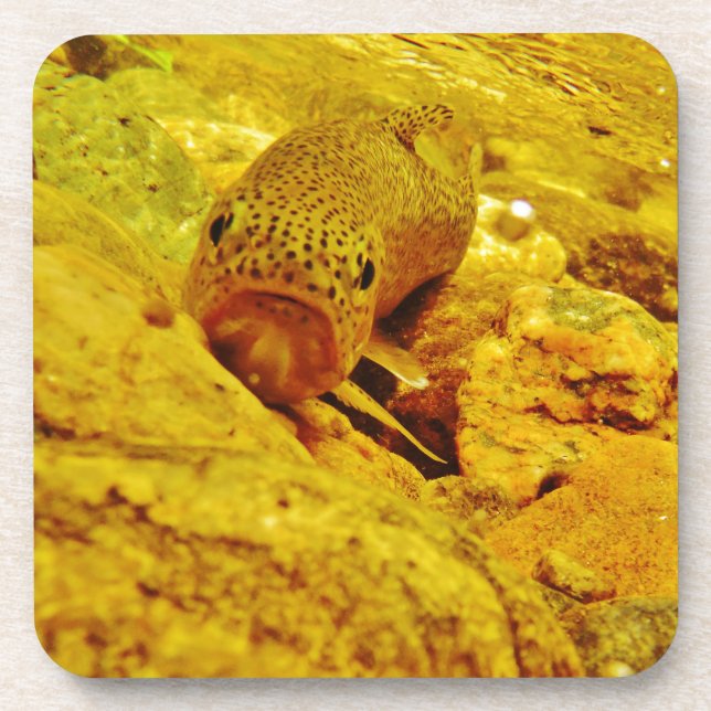 Trout in stream coaster (Front)