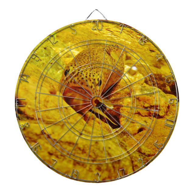 Trout in stream dartboard (Front)