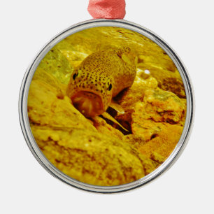 Trout in stream metal tree decoration