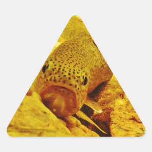 Trout in stream triangle sticker