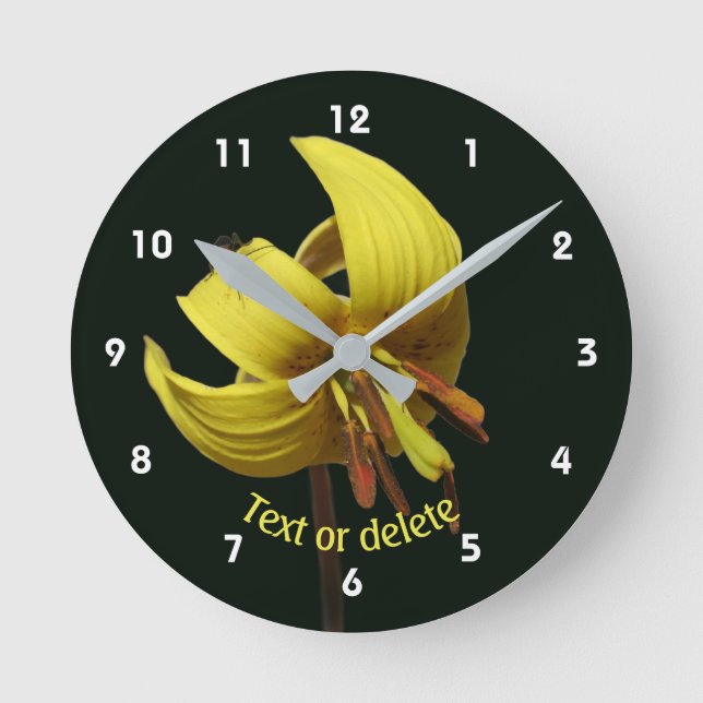 Trout Lily And Firefly Floral Personalised Round Clock (Front)