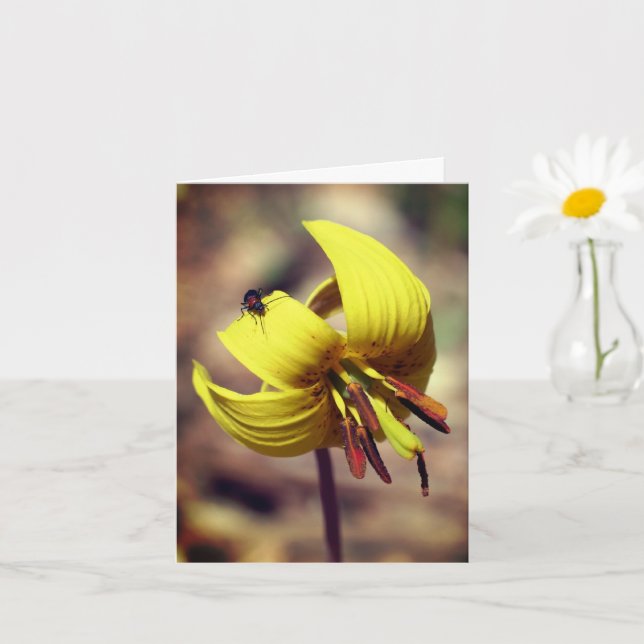 Trout Lily And Friend Floral Note Card (Small Plant)
