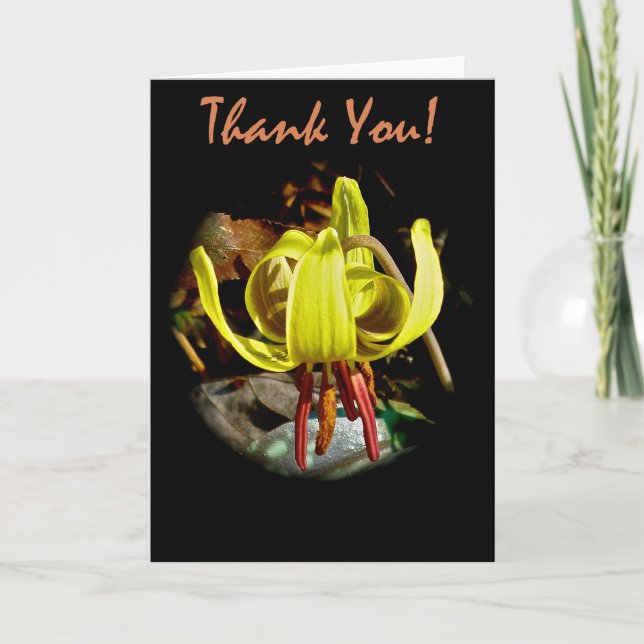 Trout Lily Thank You Card (Front)