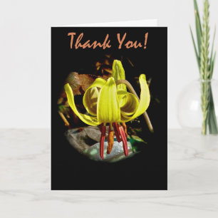 Trout Lily Thank You Card