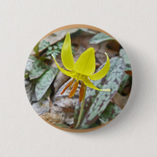 Trout Lily Wildflower - Erythronium americanum 6 Cm Round Badge