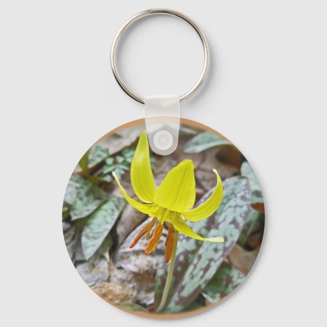 Trout Lily Wildflower - Erythronium americanum Key Ring (Front)