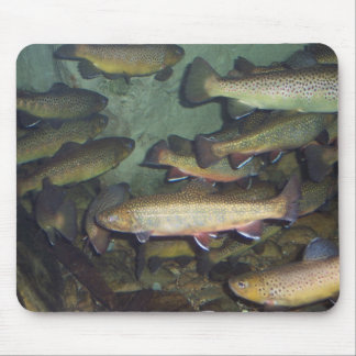 Trout mousepad