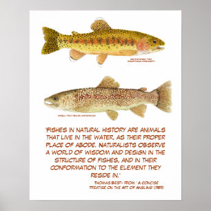 Trout Poster