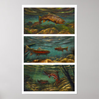 Trout Poster