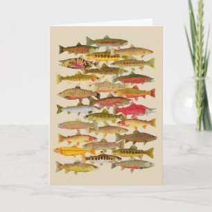 Trout & Salmon Species Card