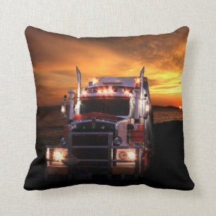Truck Driver Cushion