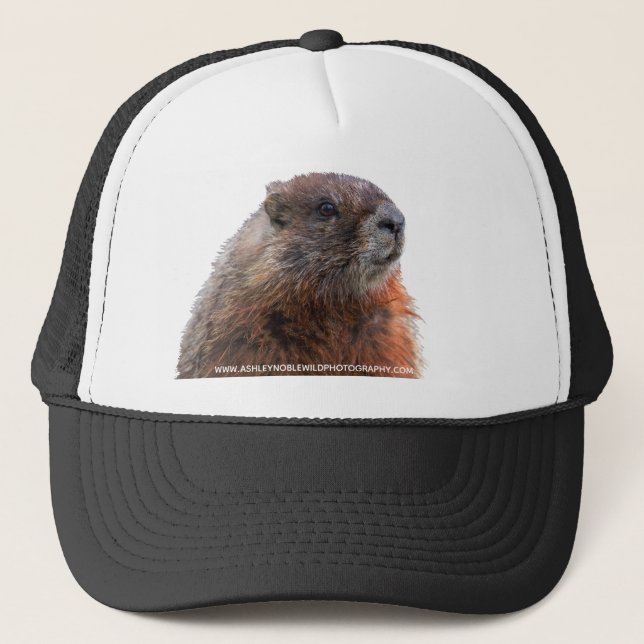 Trucker hat (Front)