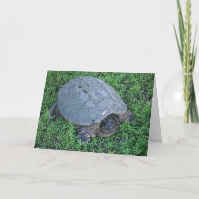 Trudging Along for Over 70 Million Years Birthday Card (Front)