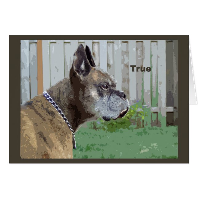 True (Front Horizontal)