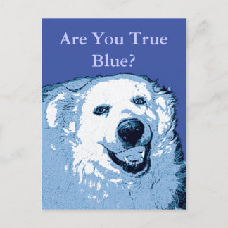 True Blue Dog Democrat postcard