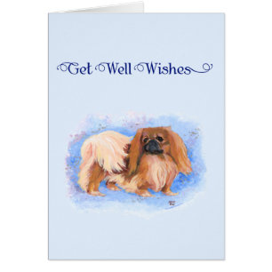 True Blue Pekingese