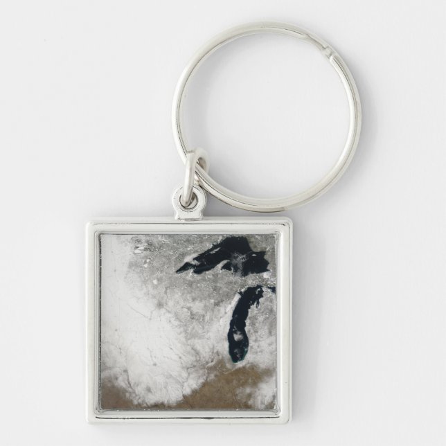 True-colour image of snow key ring (Front)