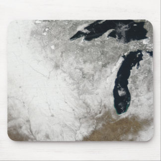 True-colour image of snow mouse mat