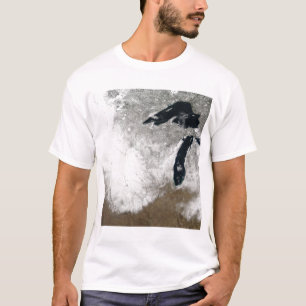 True-colour image of snow T-Shirt