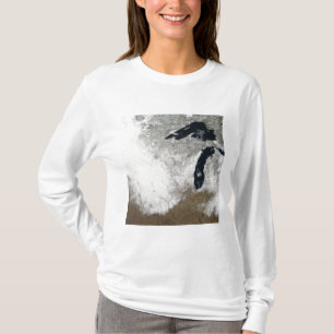 True-colour image of snow T-Shirt