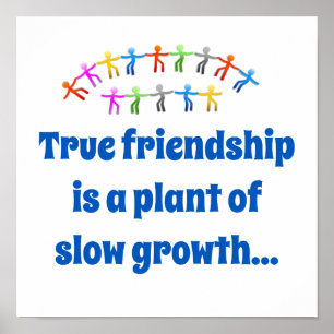 True Friendship Is A Plant Of Slow Growth - Friend Poster
