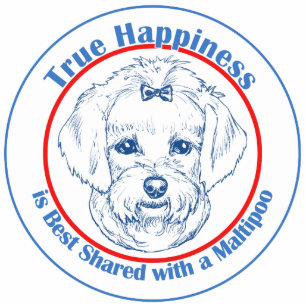 True Happiness with a Maltipoo Photo Sculpture Decoration