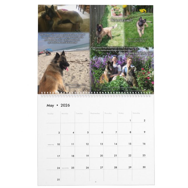 True Knight Tervuren Puppy Review Calendar 1 (May 2026)