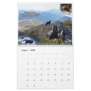 True Knight Tervurens puppy reviews calendar