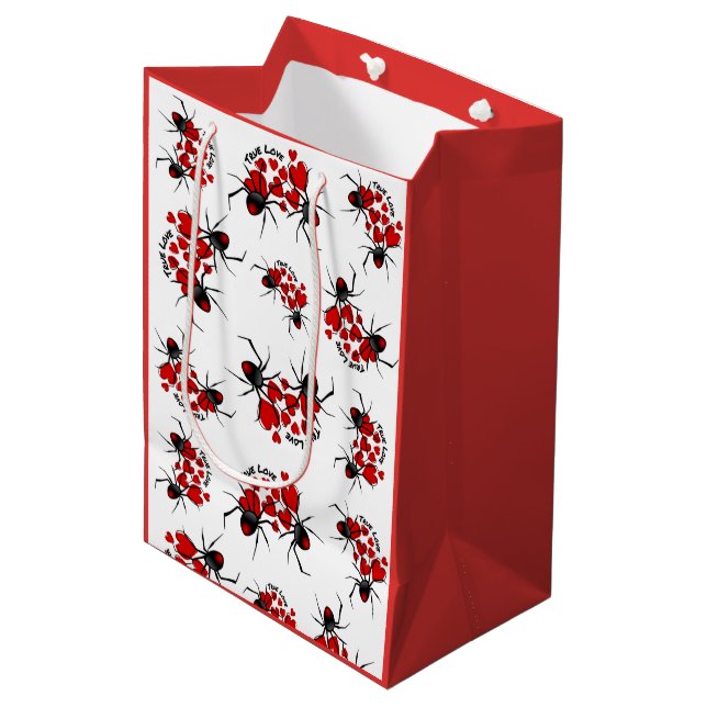 True Love, Hearts and Spiders Medium Gift Bag (Front Angled)