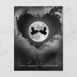 True Love Is Unbelievable-Flying Pigs Kissing Postcard