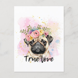 True love pug love,best friend dog postcard