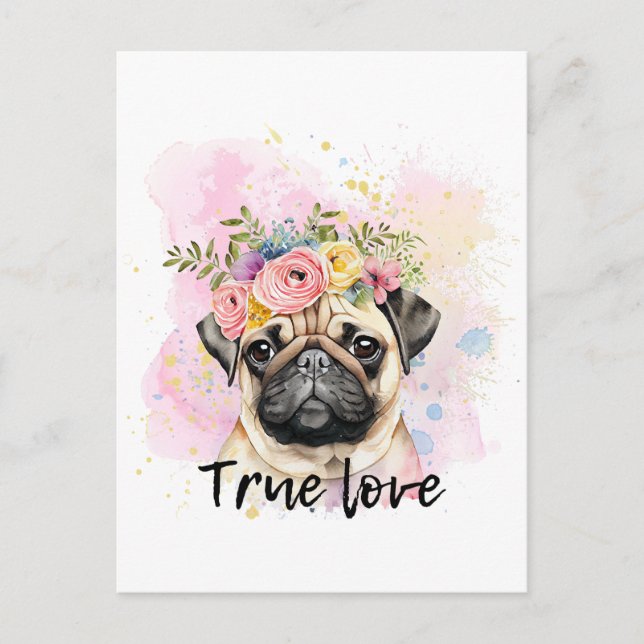 True love pug love,best friend dog postcard (Front)