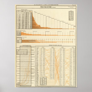 True valuation poster