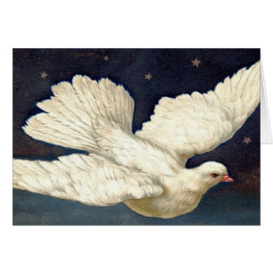 Truly Beautiful Dove