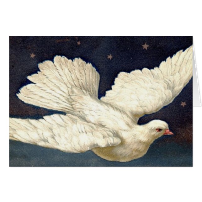 Truly Beautiful Dove (Front Horizontal)