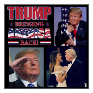Trump 2020 Bringing America Back Poster