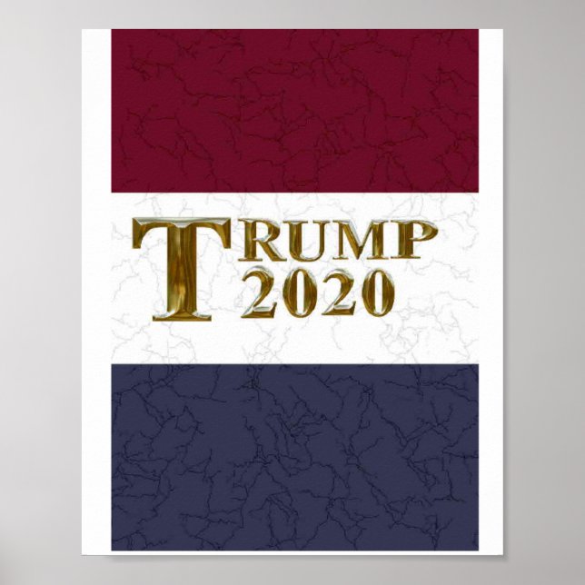 TRUMP 2020 POSTER (Front)