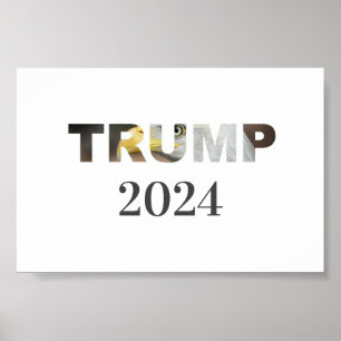 TRUMP 2024, ELECTION POSTER
