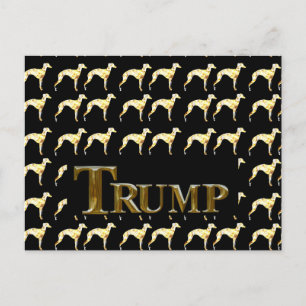 TRUMP 2024 POSTCARD