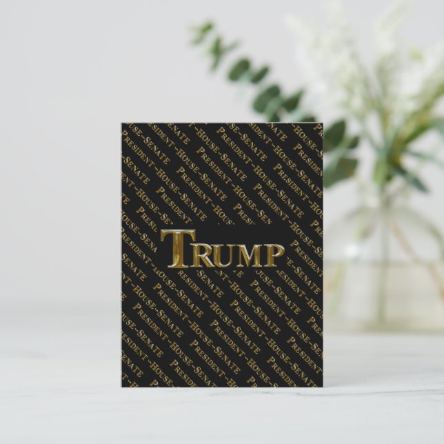 TRUMP 2024 POSTCARD (Standing Front)