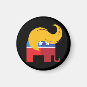 Trump 2024 Presidential Election  Magnet