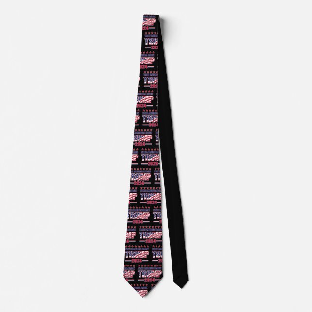 Trump 2024 Take America Back Tie (Front)
