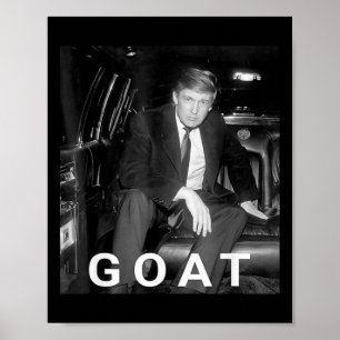 Trump 2024 Young Trump  Poster