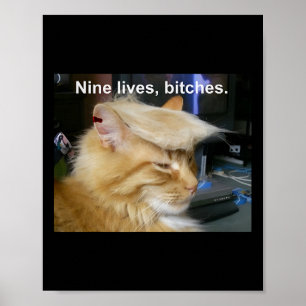 Trump Cat Nine Lives Funny Trump 2024 Vote Electio Poster