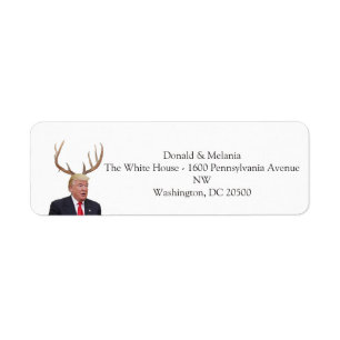 Trump Christmas: Deer Mr. President
